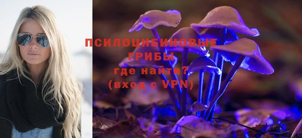 ешки Алзамай