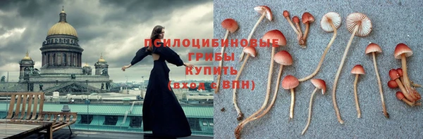 прущие крисы Алексин