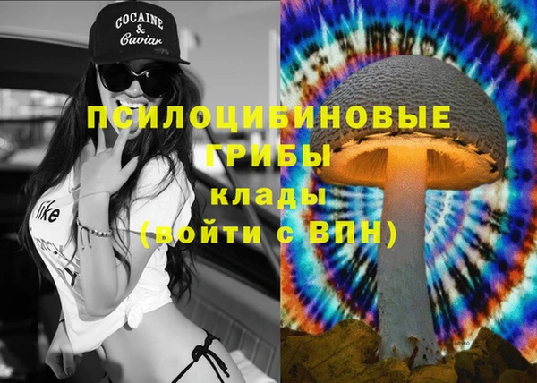 прущие крисы Алексин