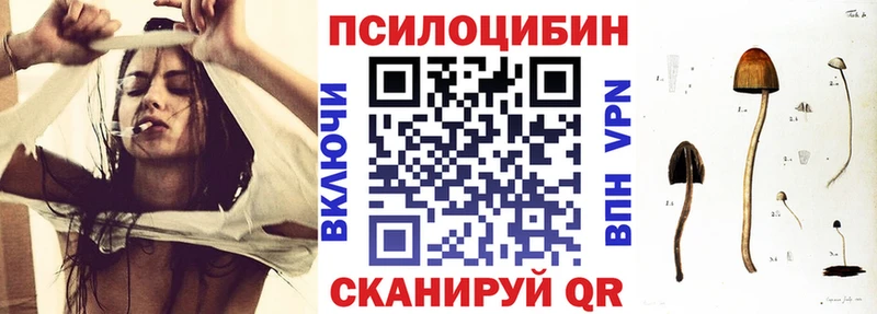 kraken как войти  Тосно  Галлюциногенные грибы мицелий 